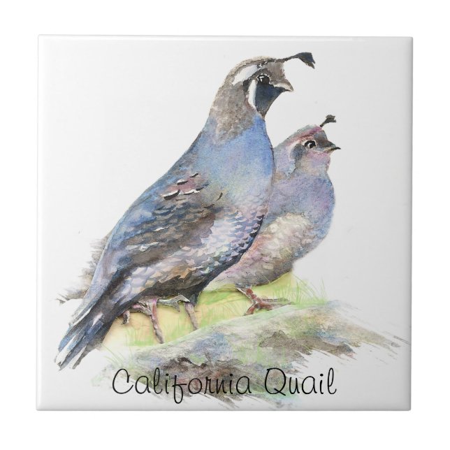 Carreau Couleur d'eau personnalisée California Quail birds (Devant)