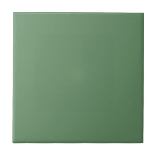 Carreau Couleur uni pastel vert clair Pierre vert