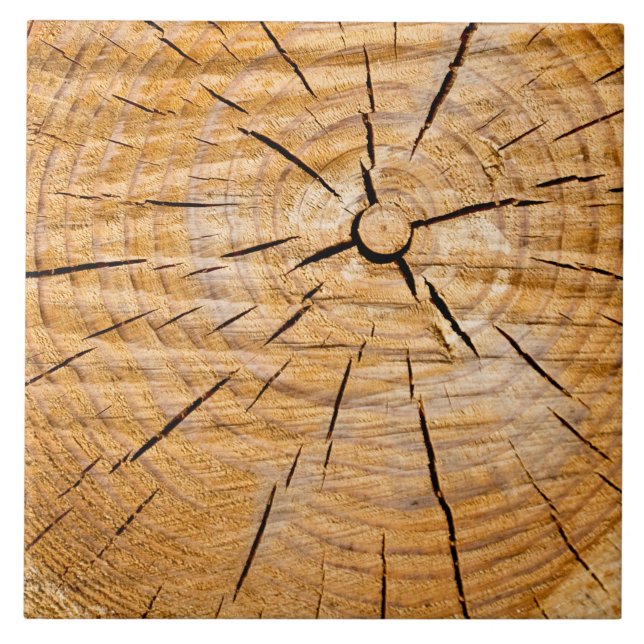 Carreau Coupe de vie en bois noueuse (Devant)