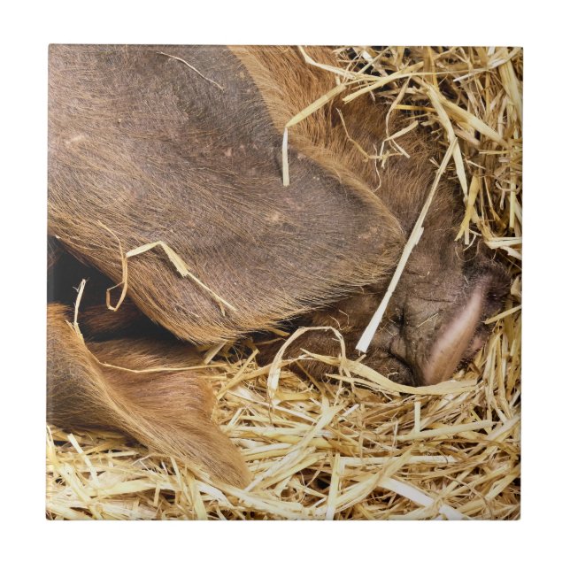 CARREAU COUPER (Devant)