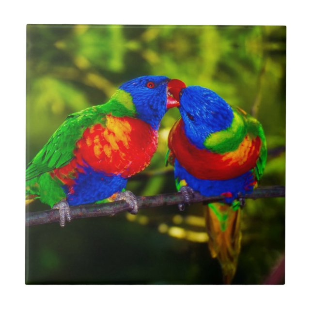 Carreau Couple coloré de perroquets (Devant)