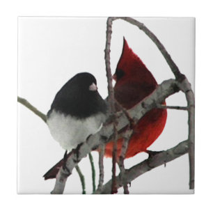 Carreau Couple insolite d'oiseaux amoureux
