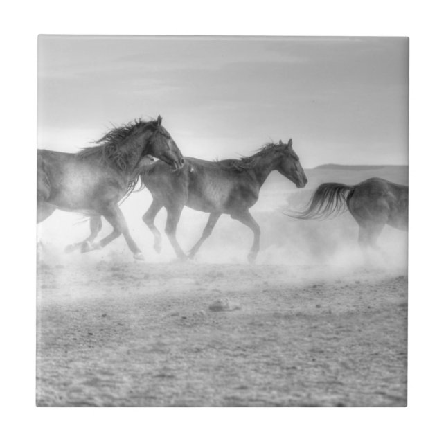 Carreau Course de mustang (Devant)