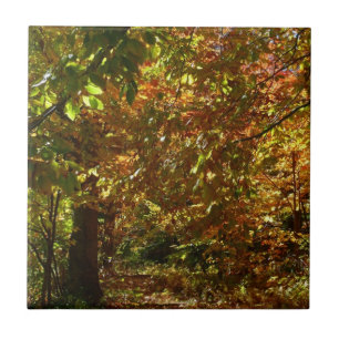 Carreau Couvert de feuilles d'automne II Photographie d'au