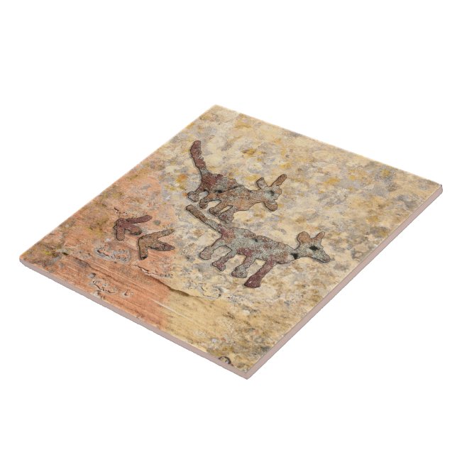 Carreau Coyotes Petroglyphes en Arizona (Côté)