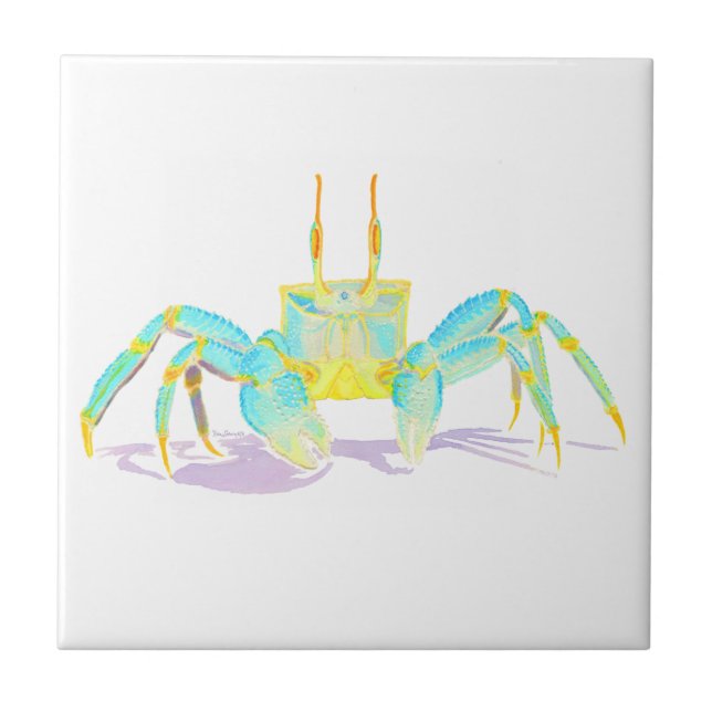 Carreau crab_6500_shirts (Devant)