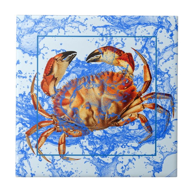 Carreau Crabe Cool (Devant)