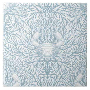 Carreau Crabe et mauvaises herbes marines, été côtier en b