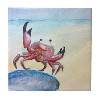 Carreau Crabe orange sur la tuile de plage