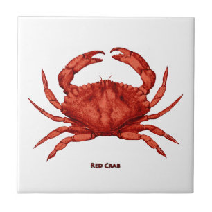 Carreau Crabe rouge (Pacifique)