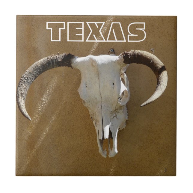 Carreau Crânes de vache à Texas-Longhorn (Devant)