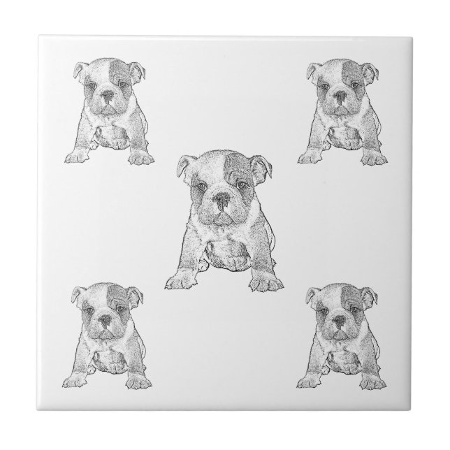 Carreau Crayon de tableau de contrôle Bulldog (Devant)