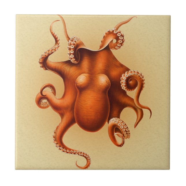 Carreau Créature du monstre de la mer d'Octopus Cephalapod (Devant)