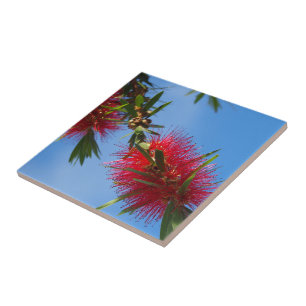 Carreau Créez votre propre tuile carrée - bottlebrush