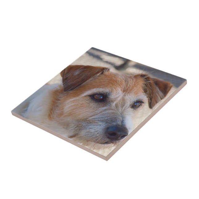 Carreau Créez votre propre tuile carrée - chien mignon (Côté)
