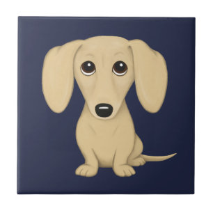 Carreau Crème courte Haired Dachshund