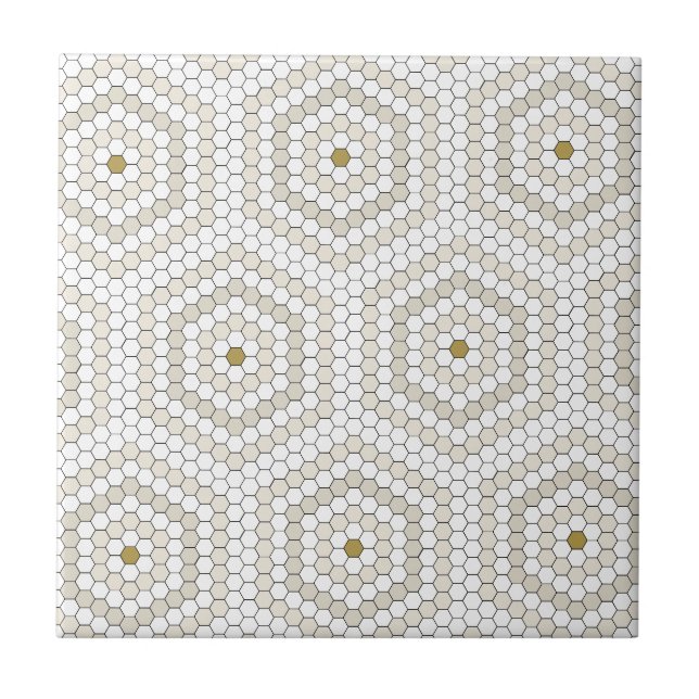 Carreau Crème & Hexagon Beige Penny Tile Hex Tile Motif (Devant)