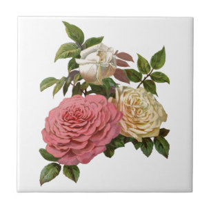 Carreau Crème victorienne et roses roses