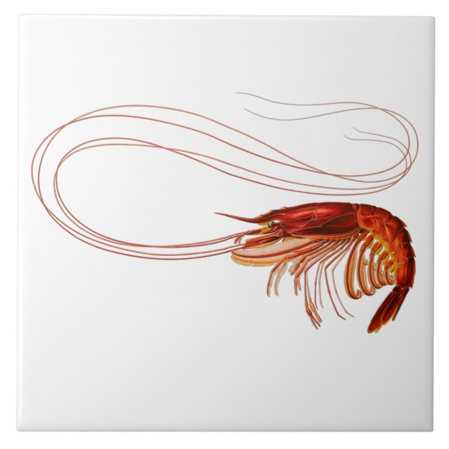 Carreau Crevettes rouges en blanc (Devant)