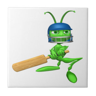 Carreau Cricket de cricket