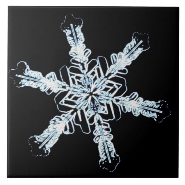 Carreau Cristal stellaire de neige (Devant)
