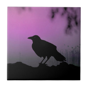 Carreau Croisement Dans La Nature Silhouette