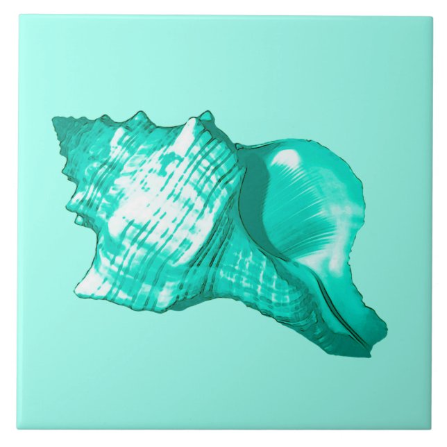 Carreau Croquis de coquille de conque - turquoise, blanc (Devant)