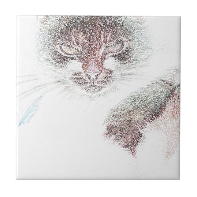 Carreau Croquis de la face de cate en colère (Devant)