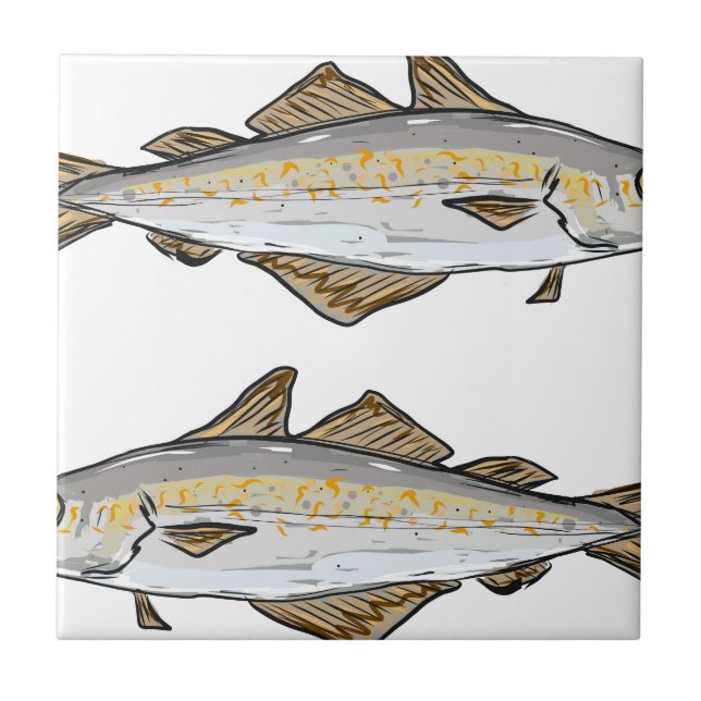 Carreau Croquis de poissons de colin (Devant)
