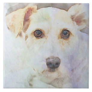 Carreau Croquis de tête de chien mignon