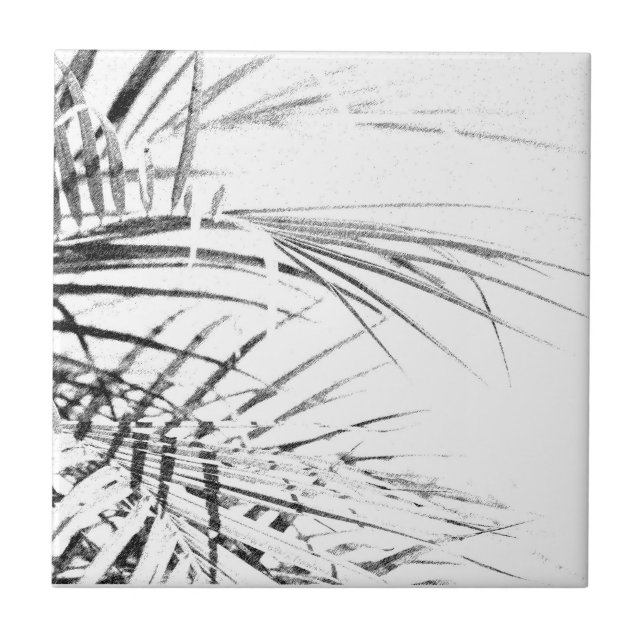 Carreau Croquis minimalisme Feuille Palm Tree (Devant)