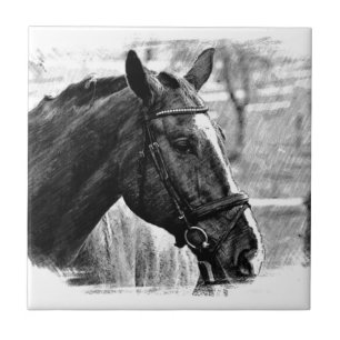 Carreau Croquis noir blanc