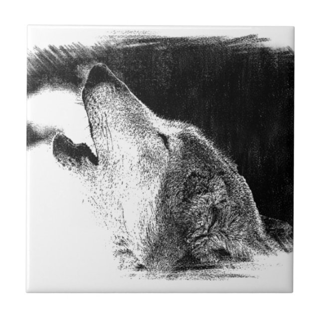 Carreau Croquis noir et blanc Loup gris (Devant)