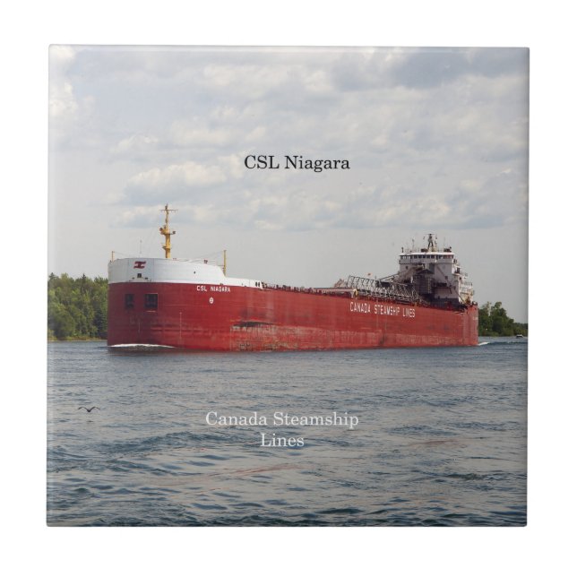 carreau CSL Niagara (Devant)