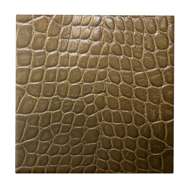 Carreau cuir brun beige moderne de crocodile d'alligator (Devant)