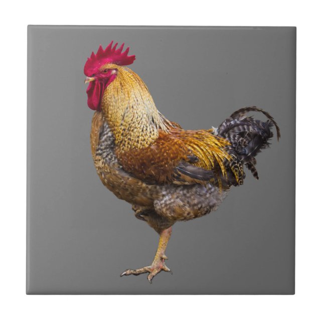 Carreau Cuisine couleur du coq (Devant)