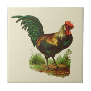 Carreau Cuisine de campagne au coq