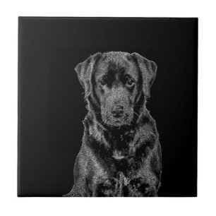 Carreau Cuisine Labrador Chien noir Chien Chien Chien Chie