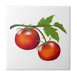 Carreau Cuisine Tomato