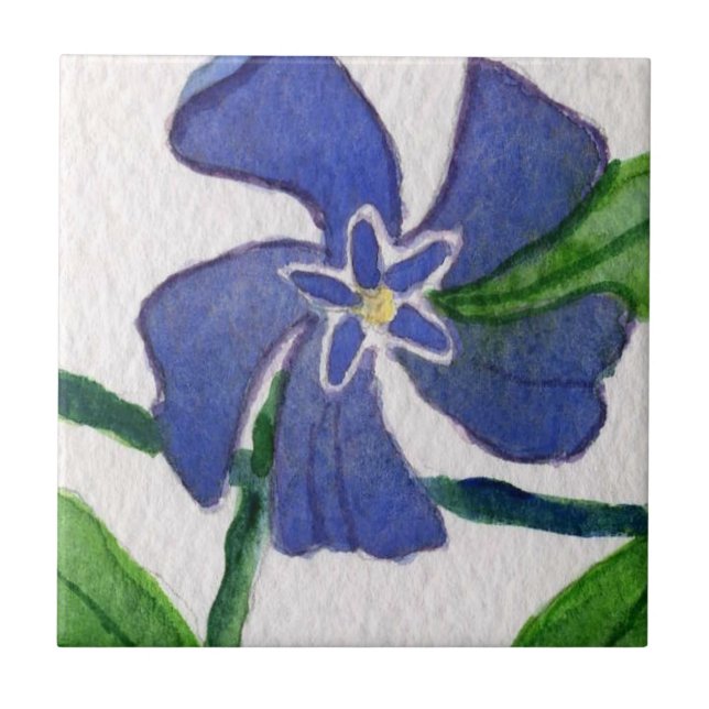 Carreau Cuisine "Vinca Vine" Jardin Carrelage céramique (Devant)