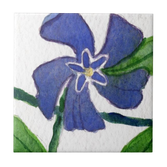 Carreau Cuisine "Vinca Vine" Jardin Carrelage céramique (Devant)