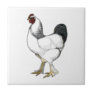 Carreau Cuisine vintage de ferme de style de coq léger de