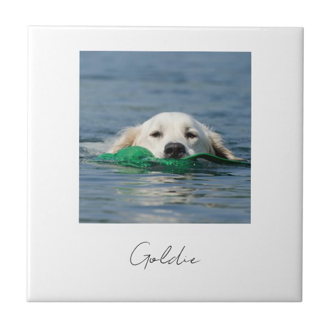Carreau Custom print personalized ceramic dog photo (Devant)