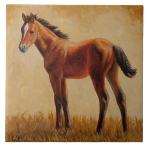 Carreau Cute Bay Quarter Foie de cheval
