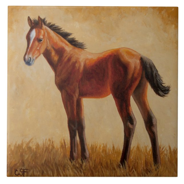 Carreau Cute Bay Quarter Foie de cheval (Devant)