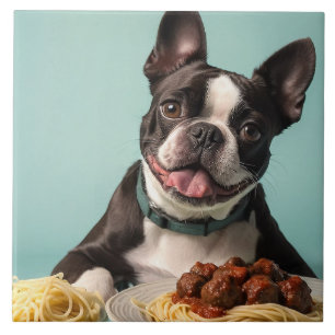Carreau Cute Boston Terrier Avec Spaghetti Bolognaise