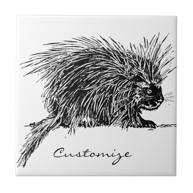 Carreau Cute Bristly Hedgehog Thunder_Cove (Devant)