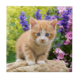 Carreau Cute Fluffy Ginger Chat Kitten en Fleurs Animaux