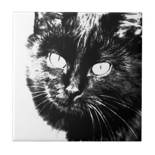 Carreau Cute Funky Noir Et Blanc Chat Kitten Croquis