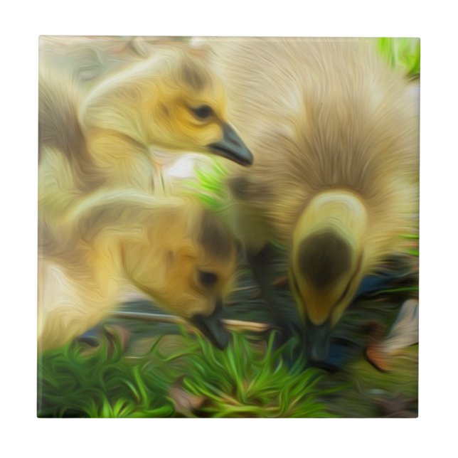 Carreau Cute Gosling (Devant)